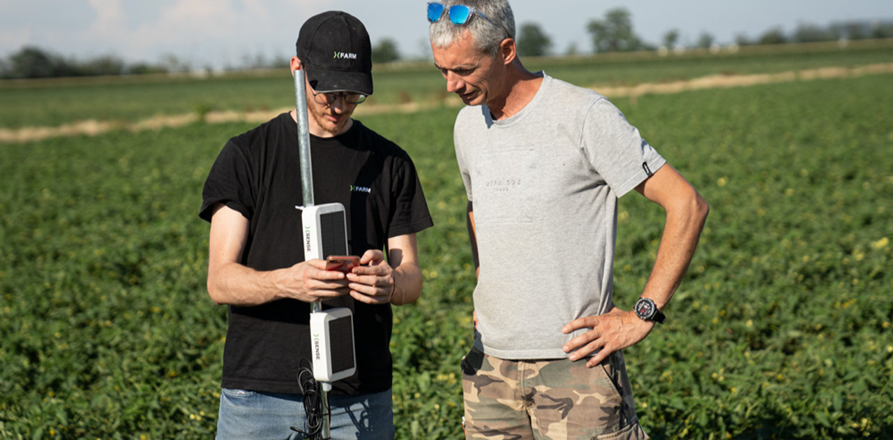 Pomodoro smart: la strategia di xFarm e Tomato Farm per la digitalizzazione della filiera