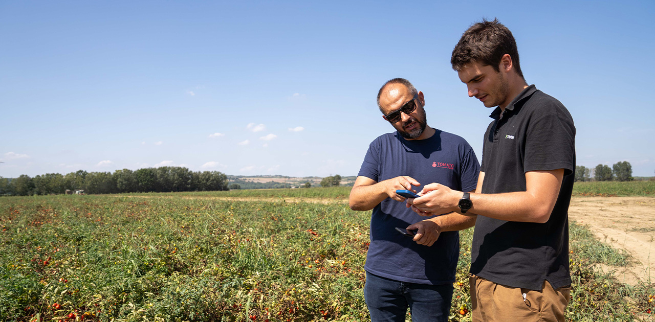 Tomato Farm sceglie RINA e xFarm Technologies per verificare digitalmente l’impronta carbonica dei suoi prodotti